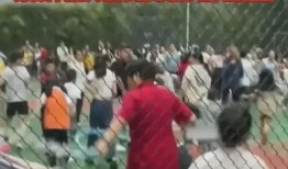 临沂大妈最新知情人爆料,揭秘事件背后惊人真相
