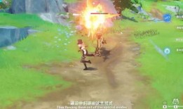 枫丹角色爆料大全最新,揭秘神秘角色背景与技能解析
